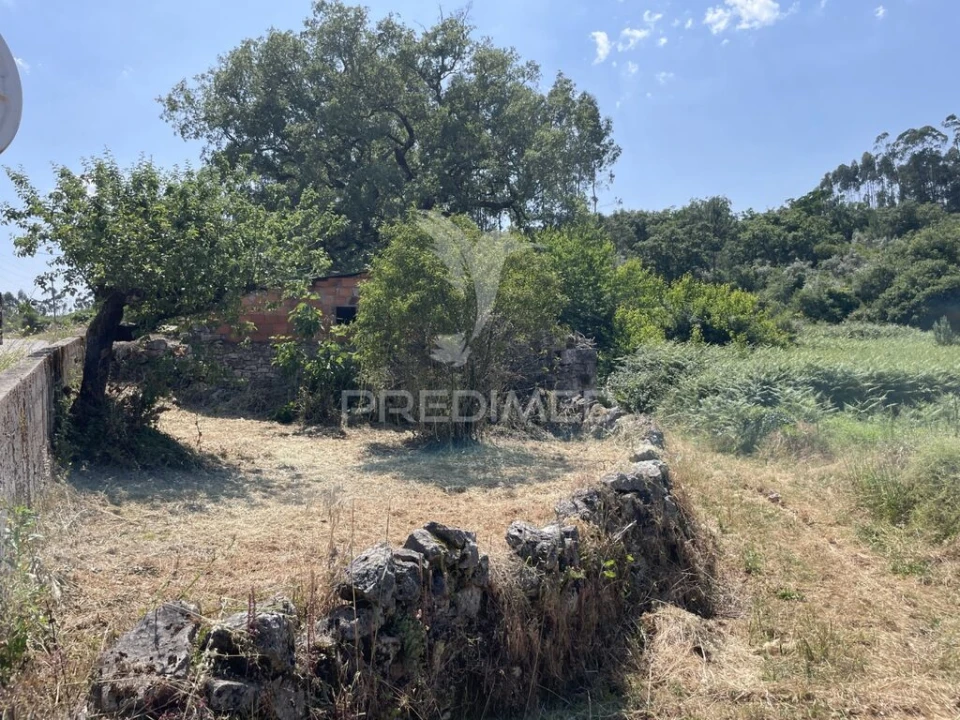 Moradia T2 para Venda em São Mamede Foto 6