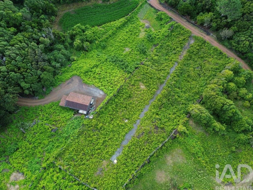 Terreno para Venda em Santa Luzia Foto 13