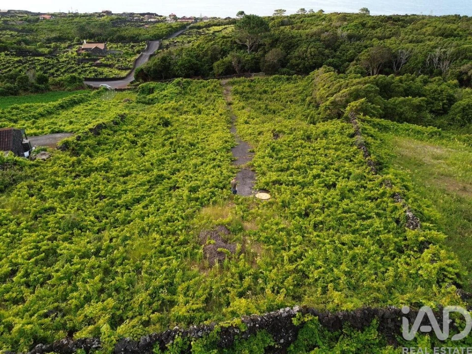 Terreno para Venda em Santa Luzia Foto 9
