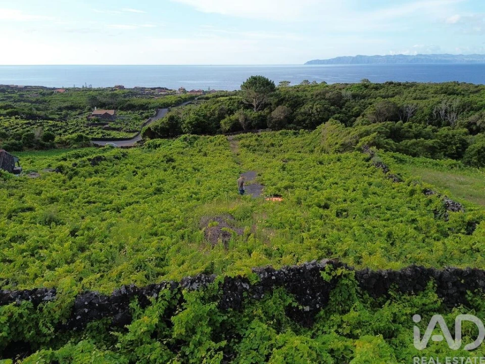 Terreno para Venda em Santa Luzia Foto 8