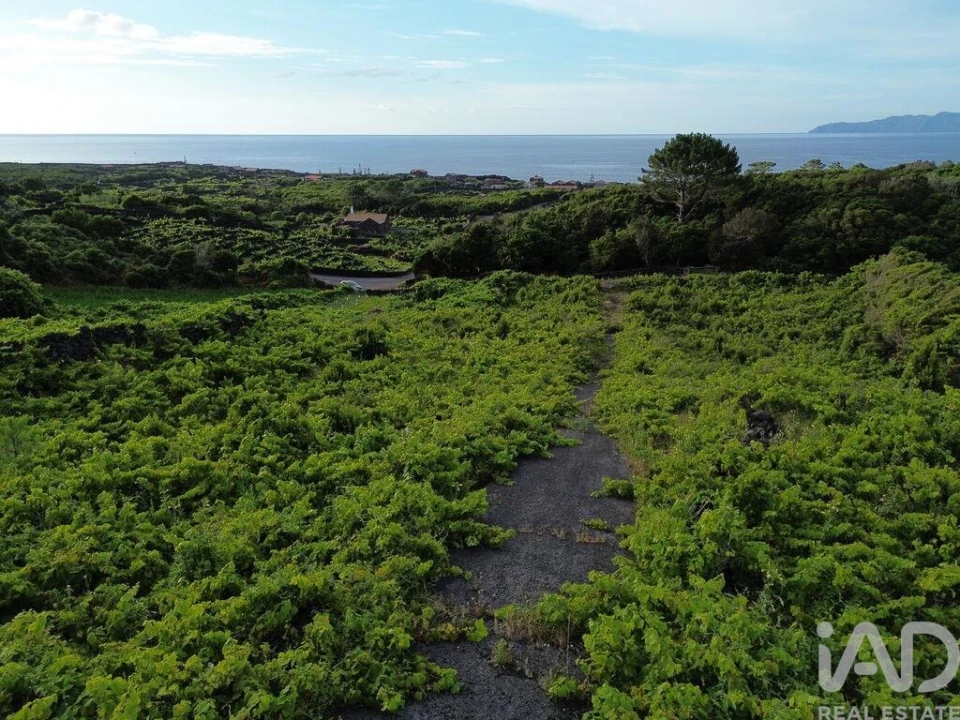 Terreno para Venda em Santa Luzia Foto 7