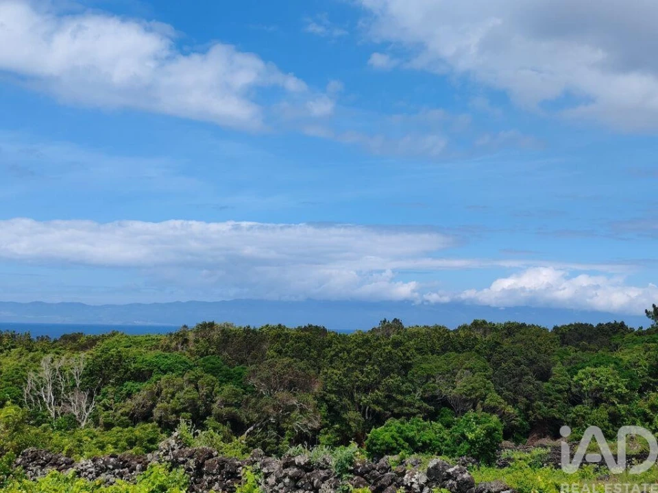 Terreno para Venda em Santa Luzia Foto 5