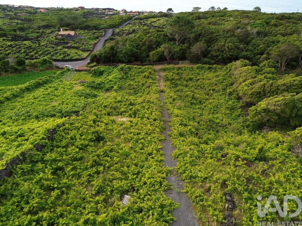 Terreno para Venda em Santa Luzia Foto 12