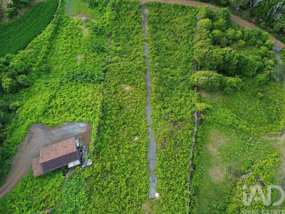 Terreno para Venda em Santa Luzia Foto 4