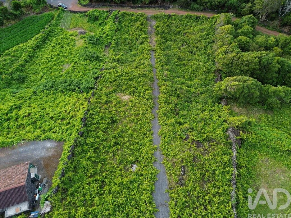 Terreno para Venda em Santa Luzia Foto 3
