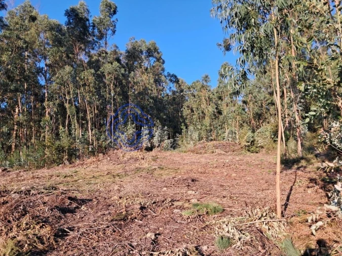 Terreno para Venda em Vandoma Foto 5