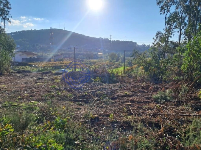 Terreno para Venda em Vandoma Foto 7