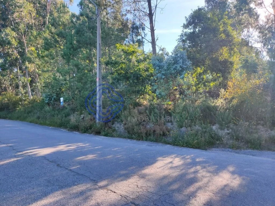 Terreno para Venda em Vandoma Foto 12