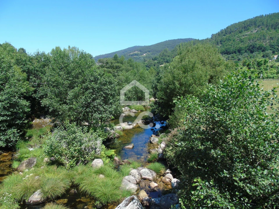 Moradia para Venda em Cerva e Limões Foto 21