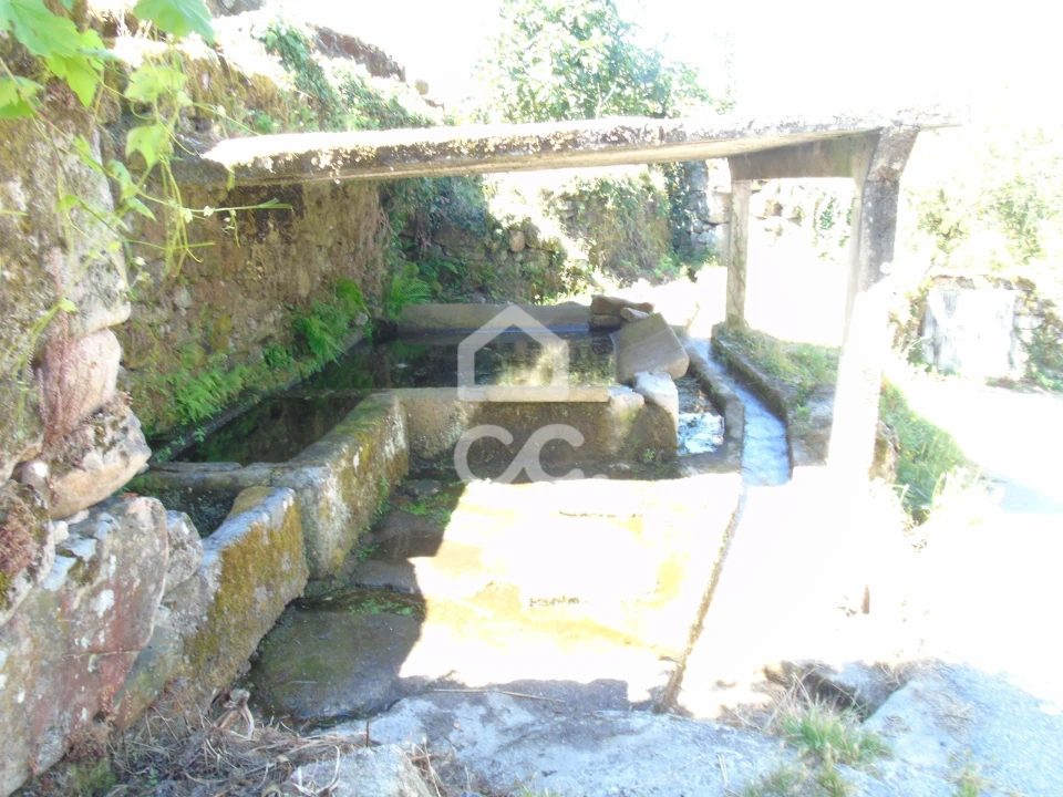 Moradia para Venda em Cerva e Limões Foto 22