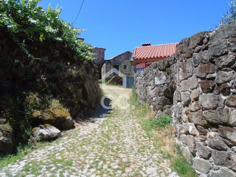 Moradia para Venda em Cerva e Limões Foto 17