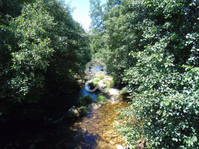 Moradia para Venda em Cerva e Limões Foto 24