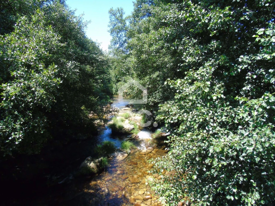 Moradia para Venda em Cerva e Limões Foto 19