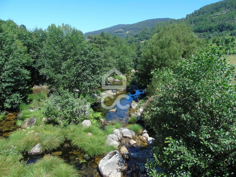 Moradia para Venda em Cerva e Limões Foto 13
