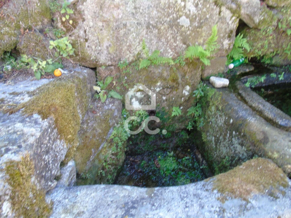 Moradia para Venda em Cerva e Limões Foto 17