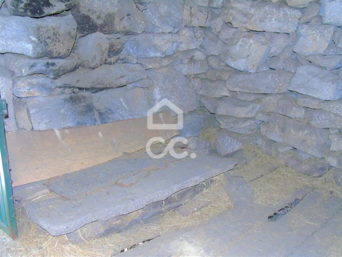 Moradia para Venda em Cerva e Limões Foto 8