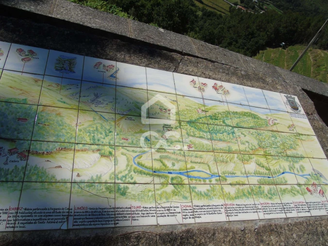 Moradia para Venda em Cerva e Limões Foto 24