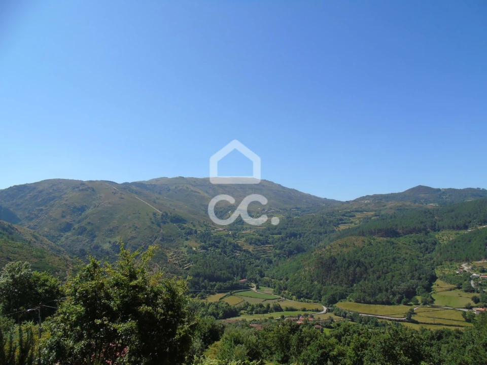 Moradia para Venda em Cerva e Limões Foto 12