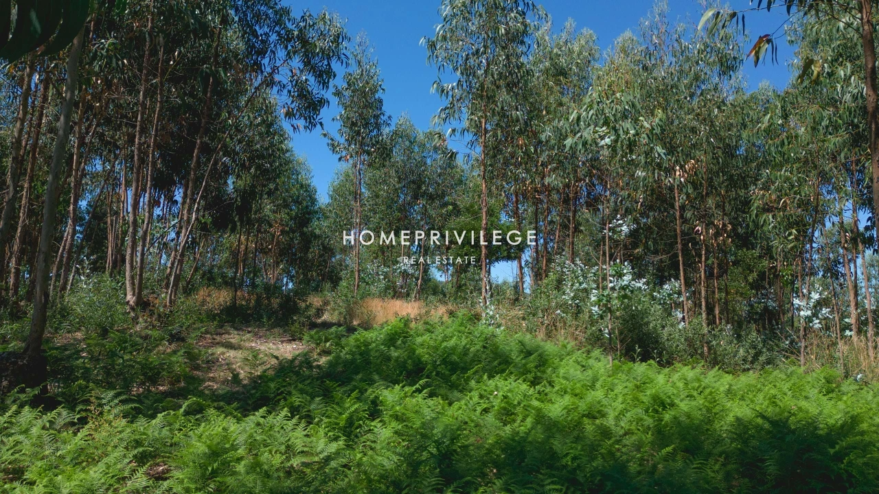 Terreno para Venda em Vilar de Andorinho Foto 21