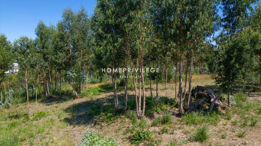 Terreno para Venda em Vilar de Andorinho Foto 20