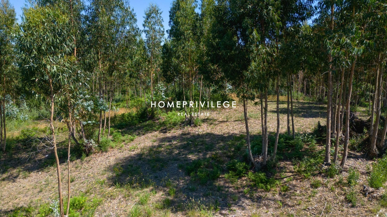 Terreno para Venda em Vilar de Andorinho Foto 19