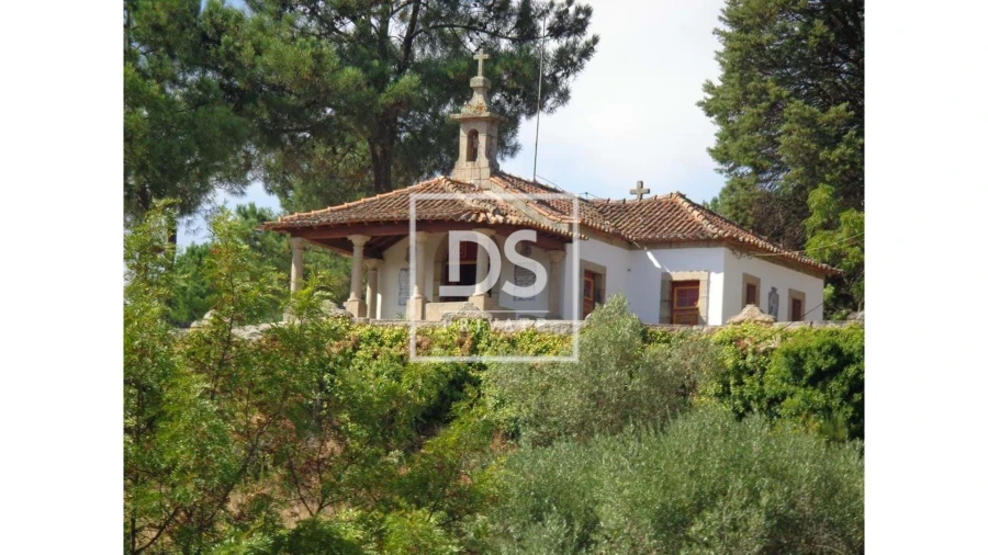 Negócio para Venda em Abrunhosa-A-Velha Foto 17