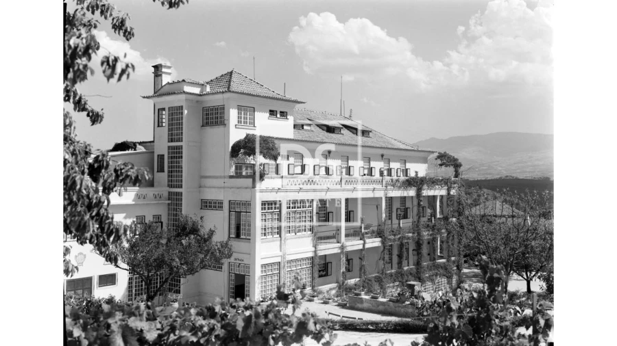 Negócio para Venda em Abrunhosa-A-Velha Foto 24