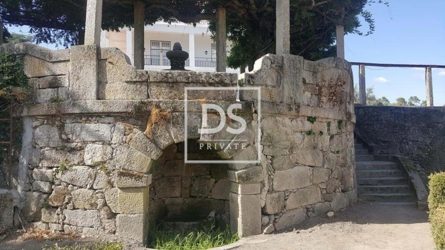 Negócio para Venda em Abrunhosa-A-Velha Foto 14