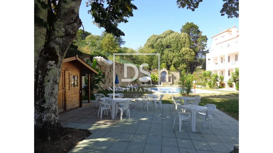 Negócio para Venda em Abrunhosa-A-Velha Foto 12