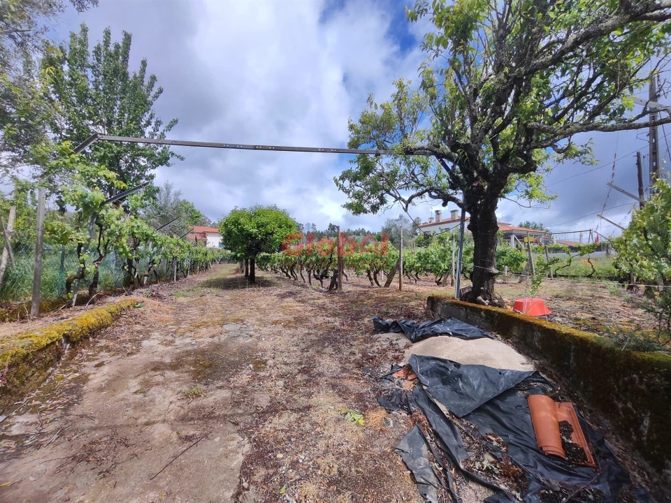 Terreno para Venda em Mundão Foto 1