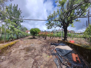 Terreno para Venda em Mundão