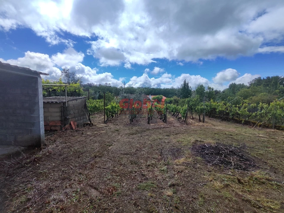 Terreno para Venda em Mundão Foto 2