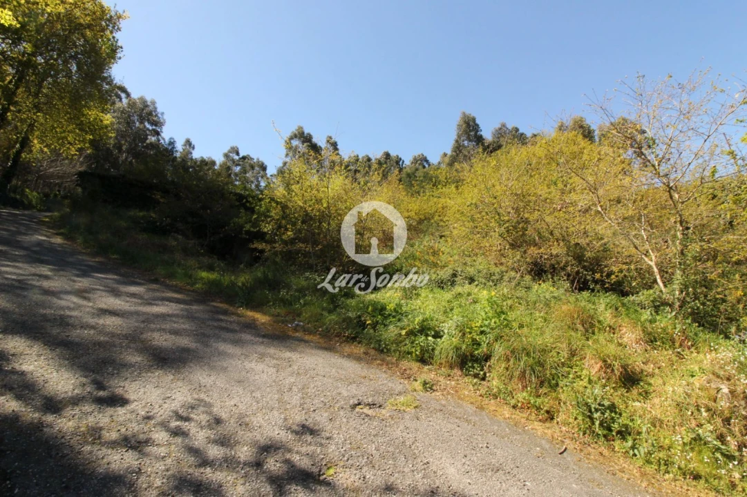 Terreno para Venda em Quinchães Foto 1