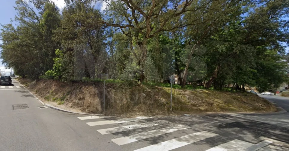 Terreno para Venda em Canelas Foto 5