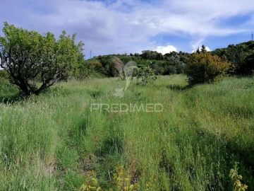 Terreno para Venda em Igreja Nova e Cheleiros