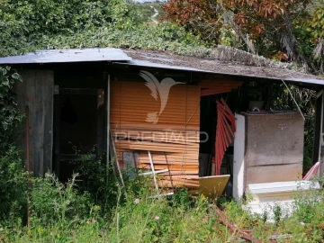 Terreno para Venda em Igreja Nova e Cheleiros
