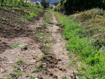 Terreno para Venda em Igreja Nova e Cheleiros