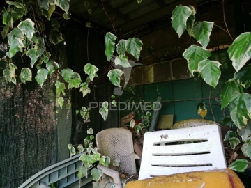 Terreno para Venda em Igreja Nova e Cheleiros