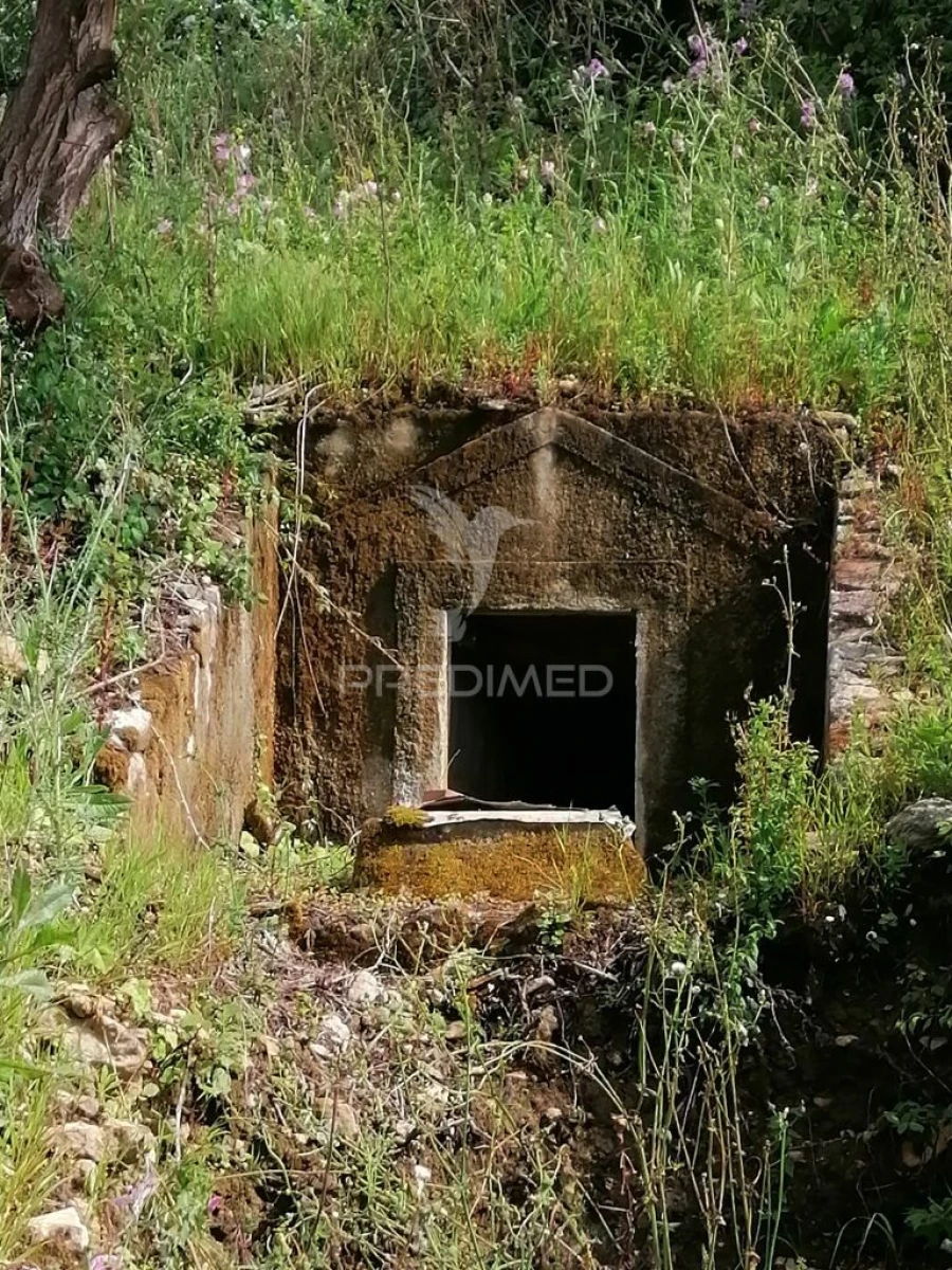 Terreno para Venda em Igreja Nova e Cheleiros Foto 9