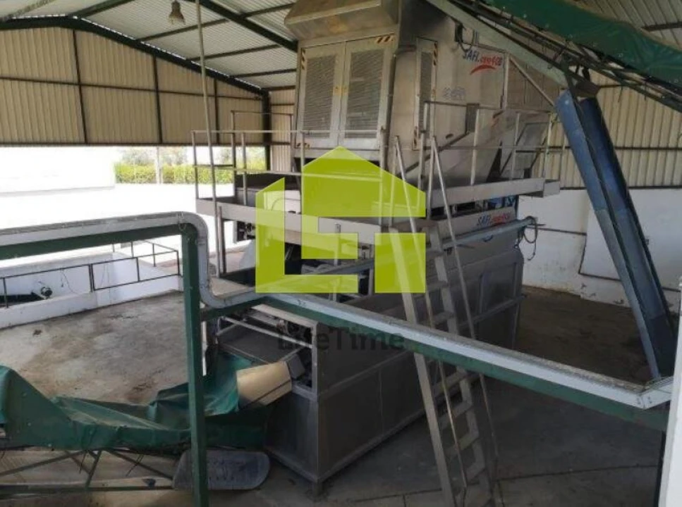 Armazém para Venda em Redondo Foto 5