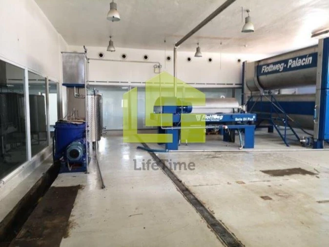 Armazém para Venda em Redondo Foto 7