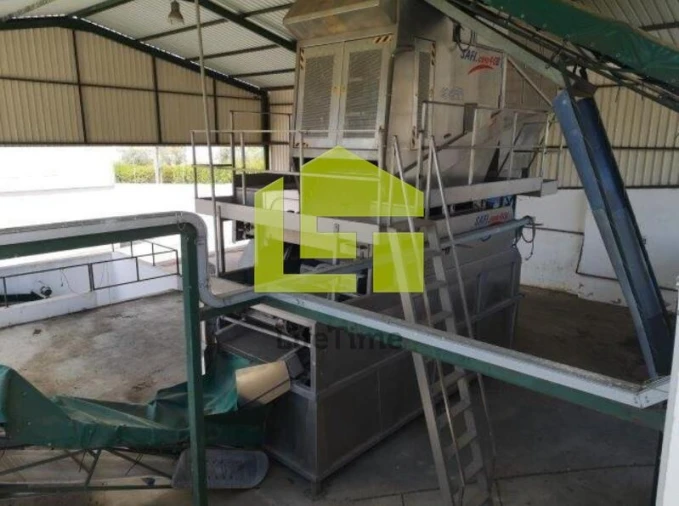 Armazém para Venda em Redondo Foto 5