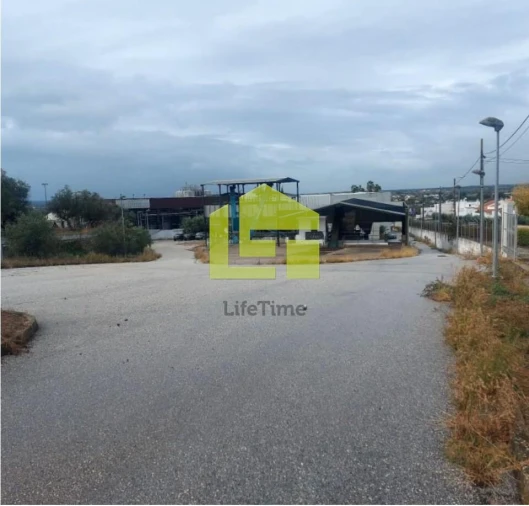 Armazém para Venda em Redondo Foto 34