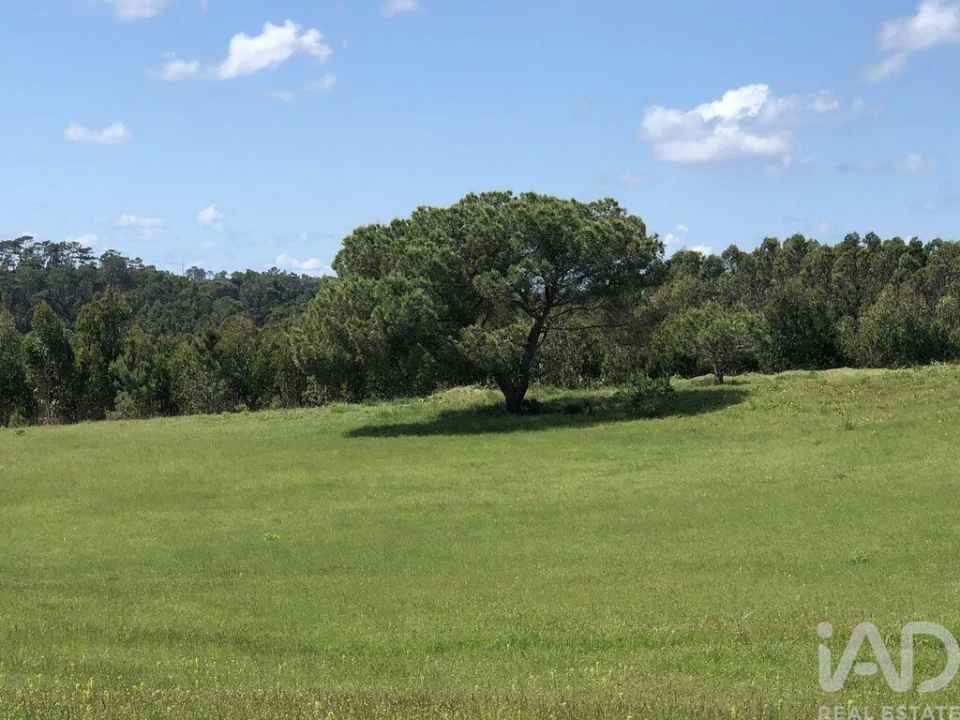 Terreno para Venda em Nossa Senhora do Pópulo, Coto e São Gregório Foto 19