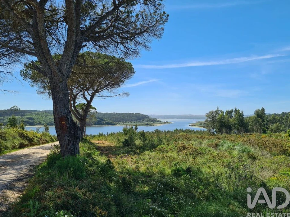 Terreno para Venda em Nossa Senhora do Pópulo, Coto e São Gregório Foto 16