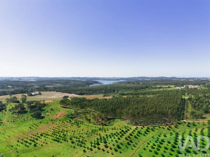 Terreno para Venda em Nossa Senhora do Pópulo, Coto e São Gregório Foto 2