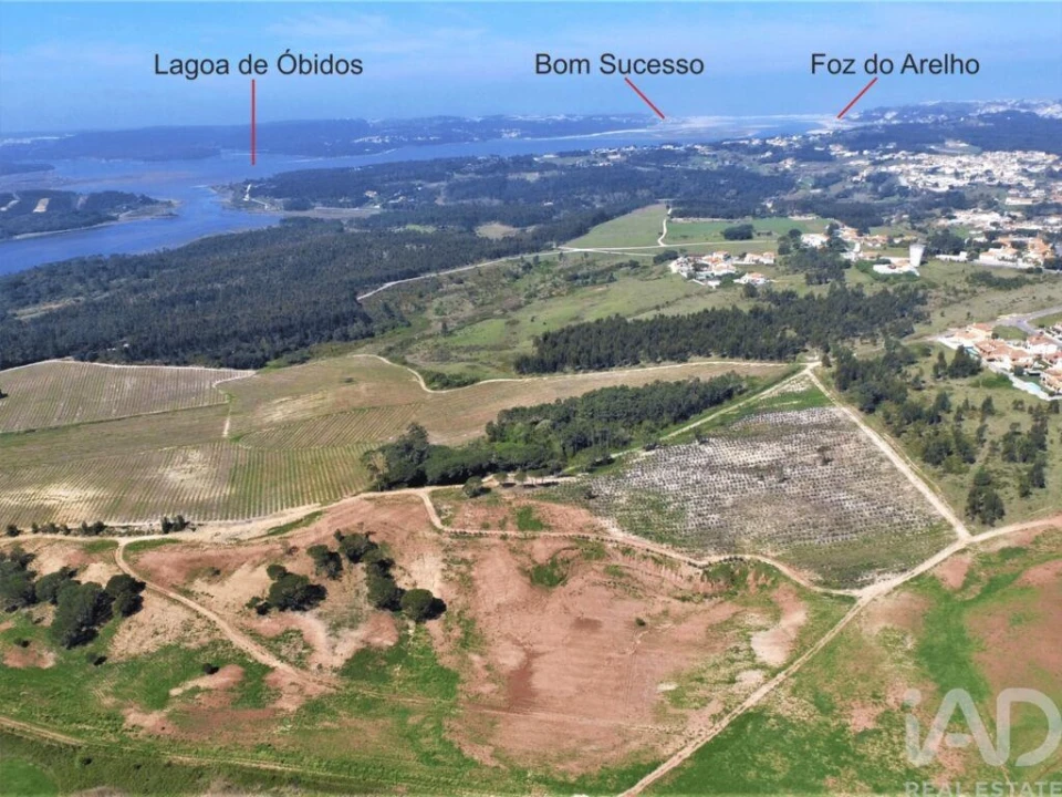 Terreno para Venda em Nossa Senhora do Pópulo, Coto e São Gregório Foto 3