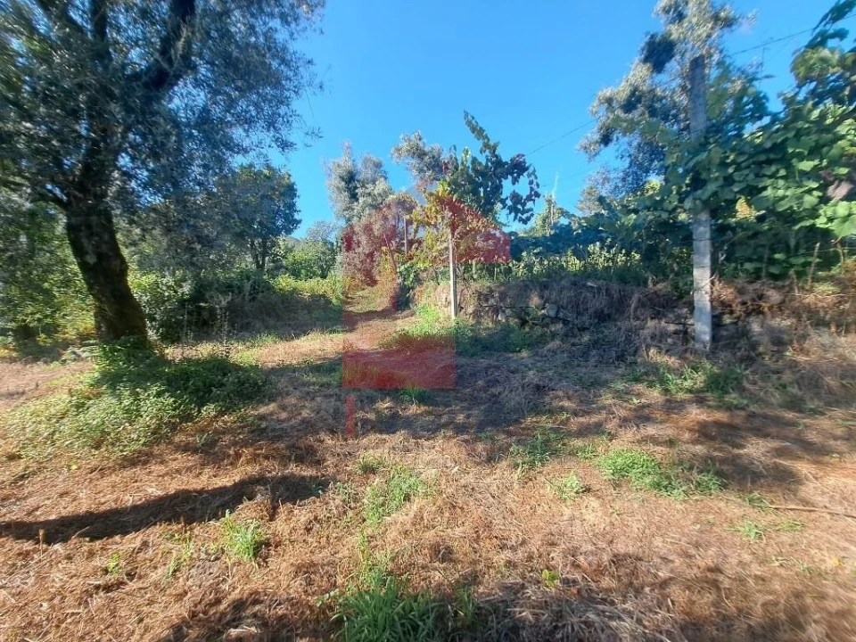 Moradia para Venda em Valdreu Foto 8