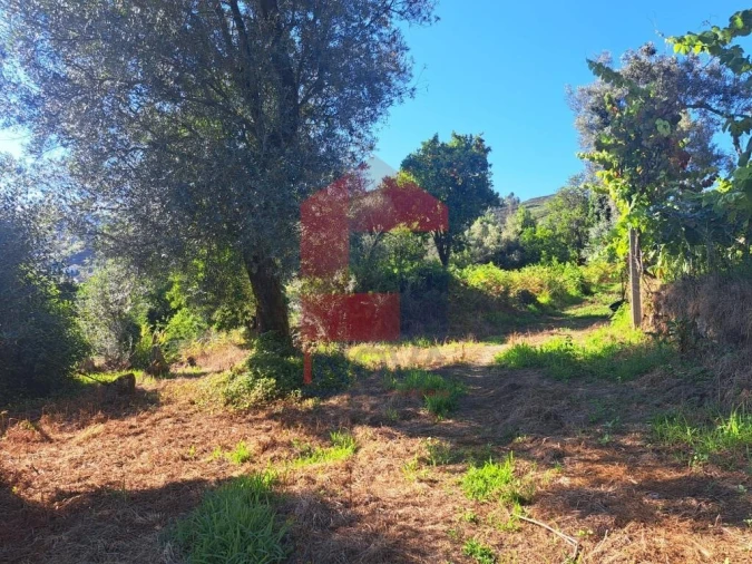 Moradia para Venda em Valdreu Foto 7