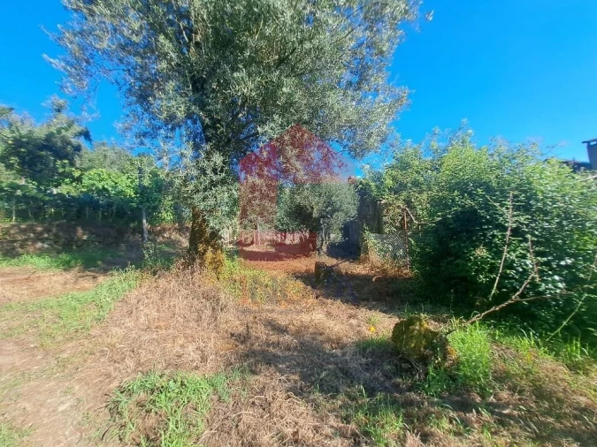 Moradia para Venda em Valdreu Foto 4